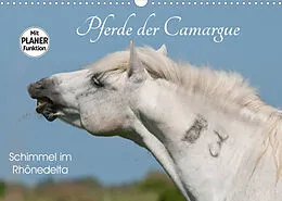 Kalender Pferde der Camargue  Schimmel im Rhônedelta (Wandkalender 2022 DIN A3 quer) von Meike Bölts