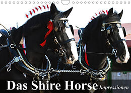 Kalender Das Shire Horse. Impressionen (Wandkalender 2022 DIN A4 quer) von Elisabeth Stanzer