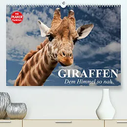 Kalender Giraffen. Dem Himmel so nah (Premium, hochwertiger DIN A2 Wandkalender 2022, Kunstdruck in Hochglanz) von Elisabeth Stanzer