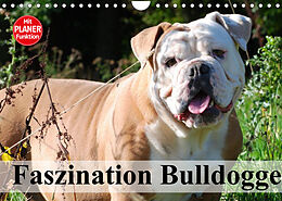Kalender Faszination Bulldogge (Wandkalender 2022 DIN A4 quer) von Elisabeth Stanzer