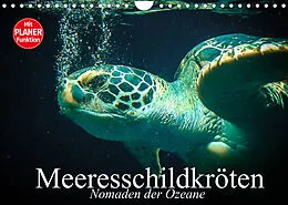 Kalender Meeresschildkröten. Nomaden der Ozeane (Wandkalender 2022 DIN A4 quer) von Elisabeth Stanzer