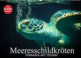 Kalender Meeresschildkröten. Nomaden der Ozeane (Wandkalender 2022 DIN A2 quer) von Elisabeth Stanzer