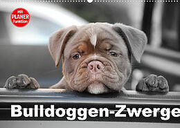 Kalender Bulldoggen-Zwerge (Wandkalender 2022 DIN A2 quer) von Elisabeth Stanzer