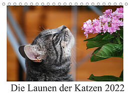 Kalender Die Launen der Katzen 2022 (Tischkalender 2022 DIN A5 quer) von Anna Kropf