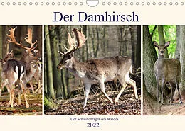 Kalender Der Damhirsch - Der Schaufelträger des Waldes (Wandkalender 2022 DIN A4 quer) von Arno Klatt