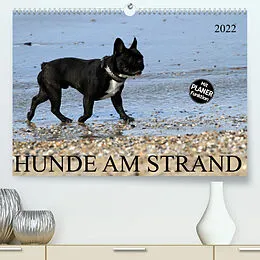 Kalender HUNDE AM STRAND (Premium, hochwertiger DIN A2 Wandkalender 2022, Kunstdruck in Hochglanz) von SchnelleWelten