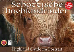Kalender Schottische Hochlandrinder - Highland Cattle im Portrait (Wandkalender 2022 DIN A3 quer) von Martina Cross