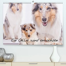 Kalender Ein Collie wird erwachsen (Premium, hochwertiger DIN A2 Wandkalender 2022, Kunstdruck in Hochglanz) von Christine Hemlep