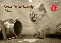 Kalender Oma's Katzenkalender 2022 (Wandkalender 2022 DIN A4 quer) von Sylvia Säume