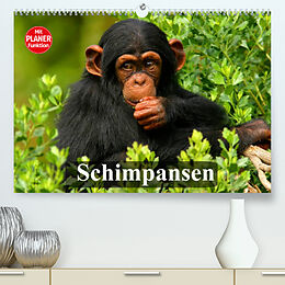 Kalender Schimpansen (Premium, hochwertiger DIN A2 Wandkalender 2022, Kunstdruck in Hochglanz) von Elisabeth Stanzer