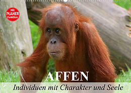 Kalender Affen - Individuen mit Charakter und Seele (Wandkalender 2022 DIN A2 quer) von Elisabeth Stanzer