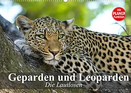 Kalender Die Lautlosen. Geparden und Leoparden (Wandkalender 2022 DIN A2 quer) von Elisabeth Stanzer