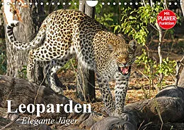 Kalender Leoparden. Elegante Jäger (Wandkalender 2022 DIN A4 quer) von Elisabeth Stanzer