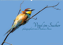 Kalender Vögel im Sucher (Wandkalender 2022 DIN A2 quer) von Andreas Basse