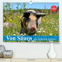 Kalender Von Säuen die Schwein haben! (Premium, hochwertiger DIN A2 Wandkalender 2022, Kunstdruck in Hochglanz) von Elisabeth Stanzer