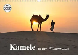 Kalender Kamele in der Wüstensonne (Wandkalender 2022 DIN A3 quer) von Elisabeth Stanzer