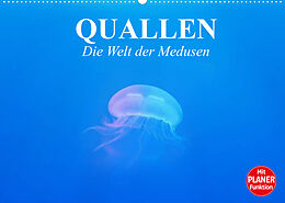 Kalender Quallen. Die Welt der Medusen (Wandkalender 2022 DIN A2 quer) von Elisabeth Stanzer