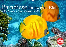 Kalender Paradiese im ewigen Blau. Die bunte Unterwasserwelt (Wandkalender 2022 DIN A2 quer) von Elisabeth Stanzer