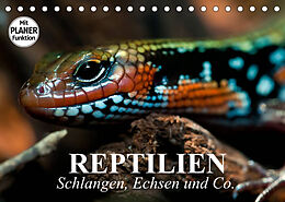 Kalender Reptilien. Schlangen, Echsen und Co. (Tischkalender 2022 DIN A5 quer) von Elisabeth Stanzer