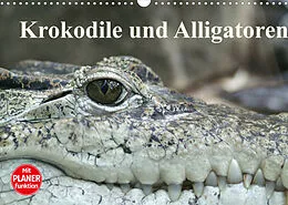 Kalender Krokodile und Alligatoren (Wandkalender 2022 DIN A3 quer) von Elisabeth Stanzer