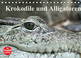Kalender Krokodile und Alligatoren (Tischkalender 2022 DIN A5 quer) von Elisabeth Stanzer