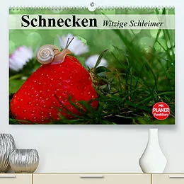 Kalender Schnecken. Witzige Schleimer (Premium, hochwertiger DIN A2 Wandkalender 2022, Kunstdruck in Hochglanz) von Elisabeth Stanzer