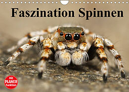 Kalender Faszination Spinnen (Wandkalender 2022 DIN A4 quer) von Elisabeth Stanzer