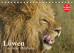 Kalender Löwen in freier Wildbahn (Tischkalender 2022 DIN A5 quer) von Elisabeth Stanzer
