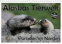 Kalender Alaskas Tierwelt - Paradies im Norden (Wandkalender 2022 DIN A4 quer) von Dieter-M. Wilczek