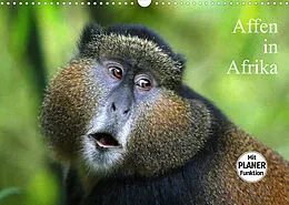 Kalender Affen in Afrika (Wandkalender 2022 DIN A3 quer) von Michael Herzog
