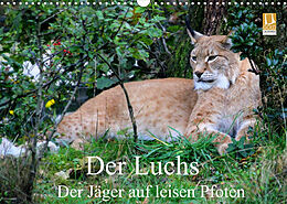 Kalender Der Luchs - Der Jäger auf leisen Pfoten (Wandkalender 2022 DIN A3 quer) von Arno Klatt