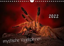 Kalender Mystische Vogelspinnen (Wandkalender 2022 DIN A4 quer) von Horst Baderschneider