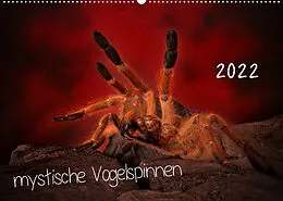 Kalender Mystische Vogelspinnen (Wandkalender 2022 DIN A2 quer) von Horst Baderschneider
