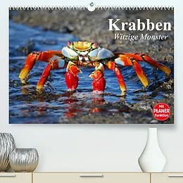 Kalender Krabben. Witzige Monster (Premium, hochwertiger DIN A2 Wandkalender 2022, Kunstdruck in Hochglanz) von Elisabeth Stanzer
