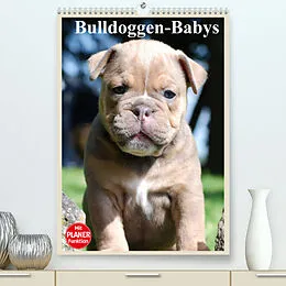 Kalender Bulldoggen-Babys (Premium, hochwertiger DIN A2 Wandkalender 2022, Kunstdruck in Hochglanz) von Elisabeth Stanzer