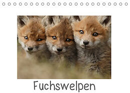 Kalender Fuchswelpen (Tischkalender 2022 DIN A5 quer) von Gabi Marklein