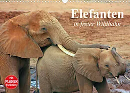 Kalender Elefanten in freier Wildbahn (Wandkalender 2022 DIN A3 quer) von Elisabeth Stanzer