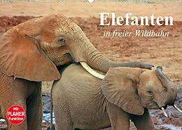 Kalender Elefanten in freier Wildbahn (Wandkalender 2022 DIN A2 quer) von Elisabeth Stanzer