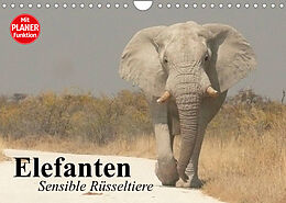 Kalender Elefanten. Sensible Rüsseltiere (Wandkalender 2022 DIN A4 quer) von Elisabeth Stanzer