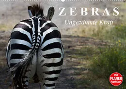 Kalender Zebras - Ungezähmte Kraft (Wandkalender 2022 DIN A2 quer) von Elisabeth Stanzer