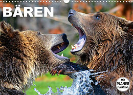 Kalender Bären (Wandkalender 2022 DIN A3 quer) von Elisabeth Stanzer