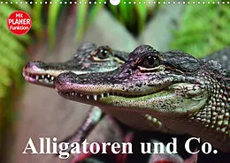 Kalender Alligatoren und Co. (Wandkalender 2022 DIN A3 quer) von Elisabeth Stanzer