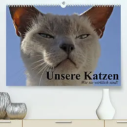 Kalender Unsere Katzen. Wie sie wirklich sind! (Premium, hochwertiger DIN A2 Wandkalender 2022, Kunstdruck in Hochglanz) von Elisabeth Stanzer