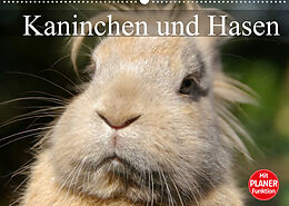 Kalender Kaninchen und Hasen (Wandkalender 2022 DIN A2 quer) von Elisabeth Stanzer
