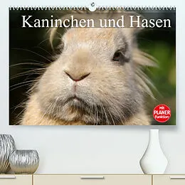 Kalender Kaninchen und Hasen (Premium, hochwertiger DIN A2 Wandkalender 2022, Kunstdruck in Hochglanz) von Elisabeth Stanzer