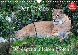 Kalender Der Luchs - Der Jäger auf leisen Pfoten (Wandkalender 2022 DIN A4 quer) von Arno Klatt