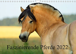 Kalender Faszinierende Pferde 2022 (Wandkalender 2022 DIN A4 quer) von Sandra Ludwig