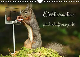 Kalender Eichhörnchen - zauberhaft verspielt (Wandkalender 2022 DIN A4 quer) von Angela Merk