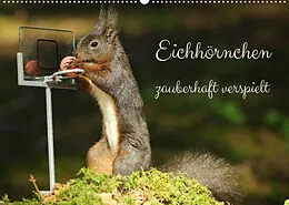 Kalender Eichhörnchen - zauberhaft verspielt (Wandkalender 2022 DIN A2 quer) von Angela Merk