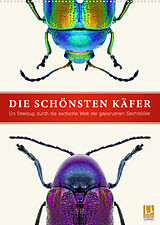 Kalender Die schönsten Käfer (Wandkalender 2022 DIN A2 hoch) von Wildlife Art Print